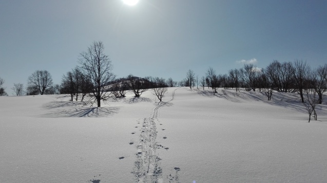 f0130376_14380073.jpg