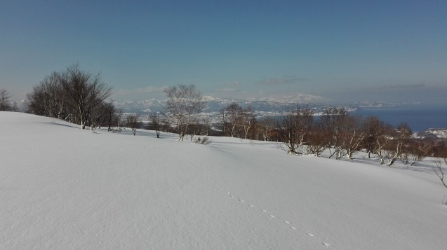 f0130376_14390386.jpg