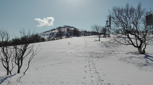 f0130376_14392969.jpg