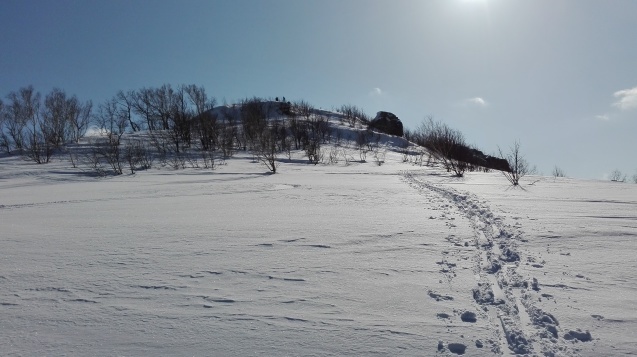f0130376_14442051.jpg