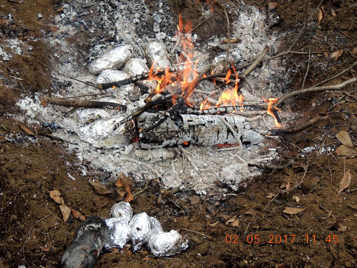 f0104277_1519560.jpg