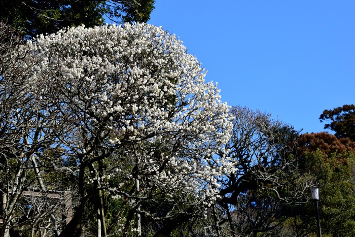 a0127090_16333947.jpg