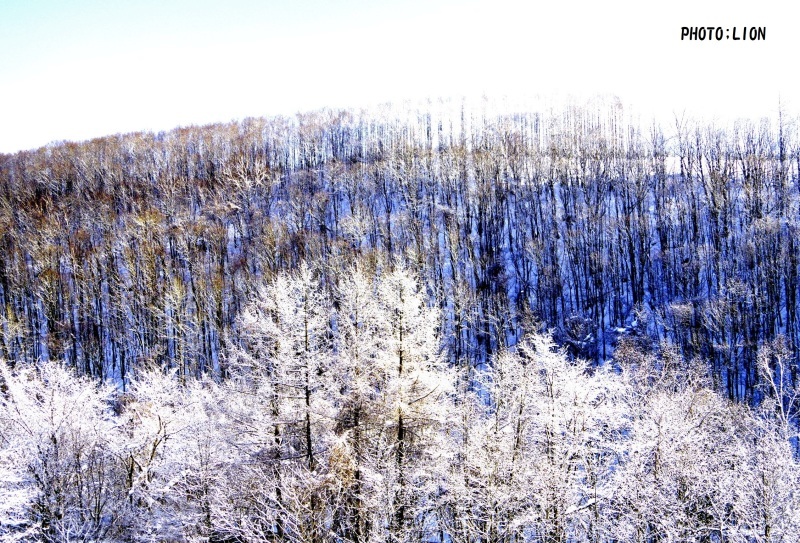c0352894_12235370.jpg