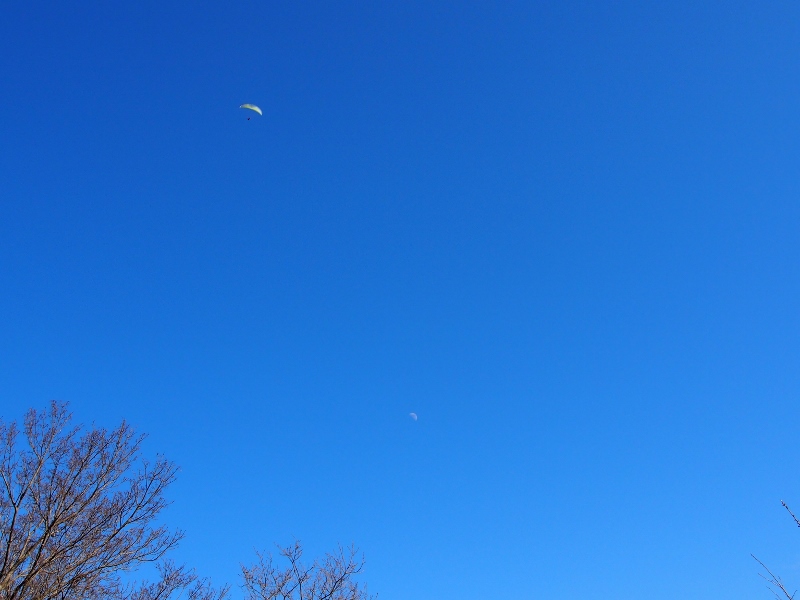 b0039898_210568.jpg