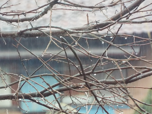 c0108198_1533949.jpg