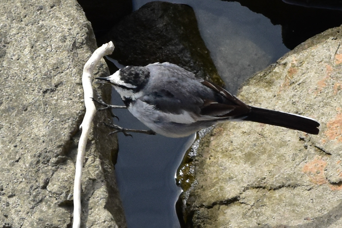 c0049299_22041751.jpg