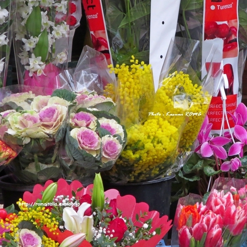 b0096600_23540100.jpg
