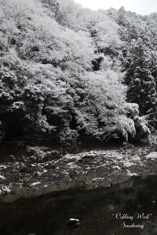 b0223512_22155919.jpg