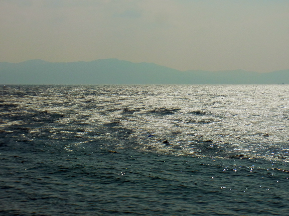 e0083517_23202899.jpg