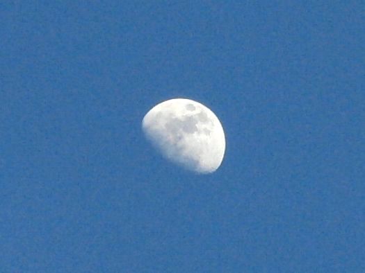 f0084422_21404829.jpg