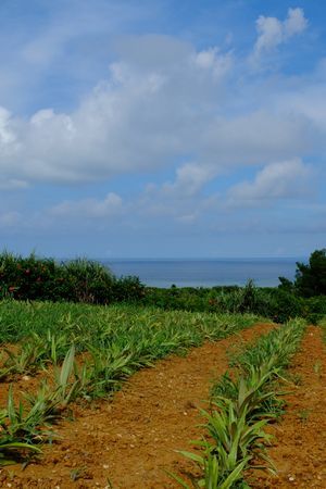 c0148238_23490791.jpg