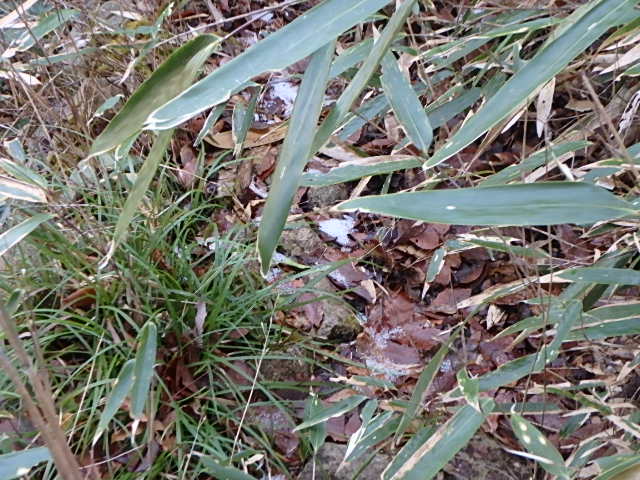 f0334143_20365768.jpg