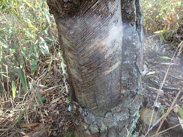 f0334143_20371370.jpg