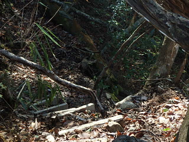 f0334143_20383422.jpg