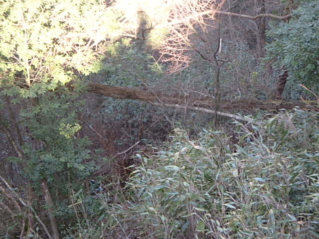 f0334143_20385188.jpg