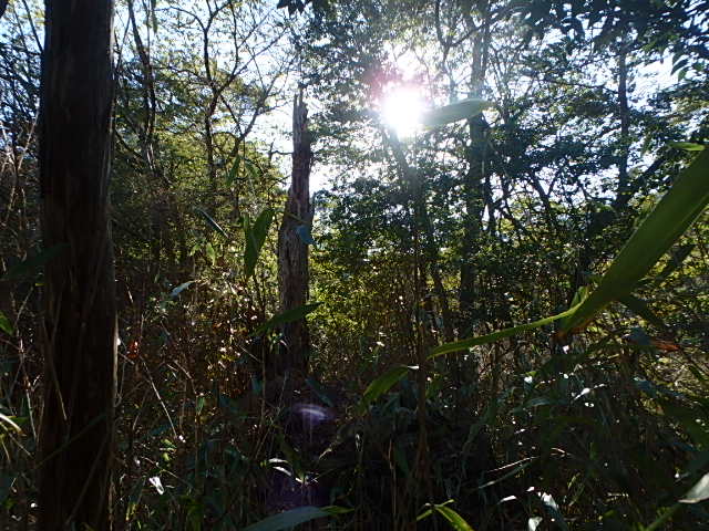 f0334143_20392574.jpg