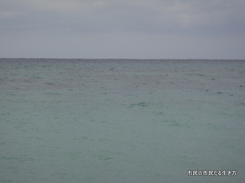 d0182245_21424225.jpg