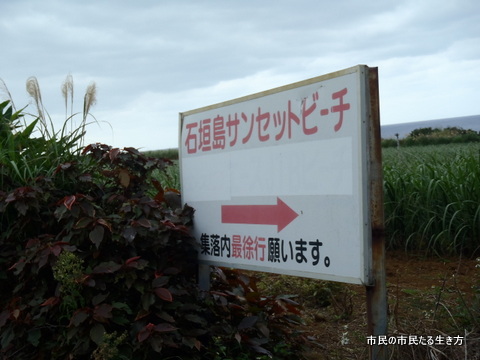 d0182245_2143149.jpg