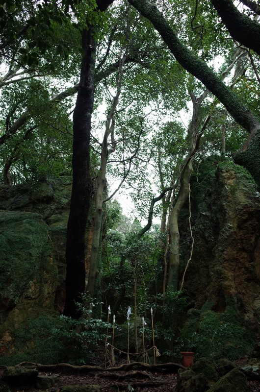 f0169147_17214543.jpg