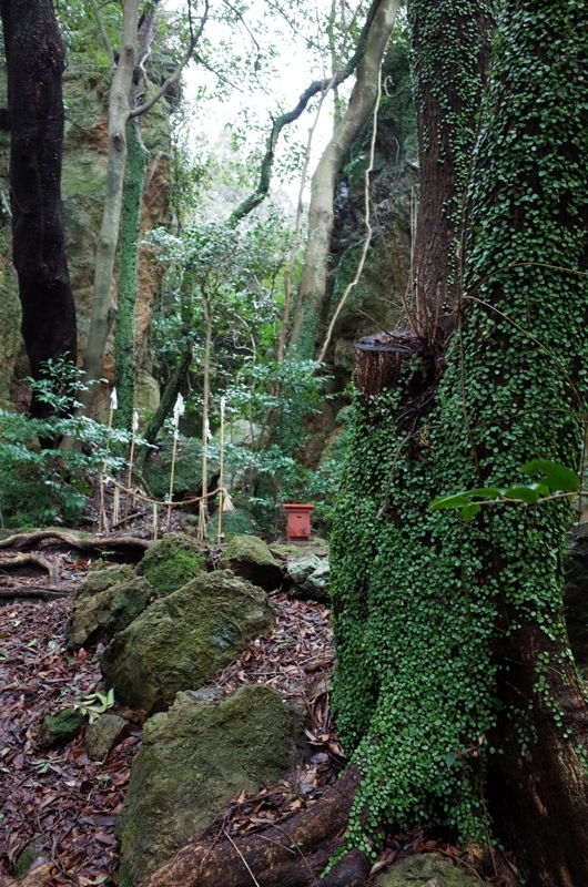 f0169147_17214620.jpg