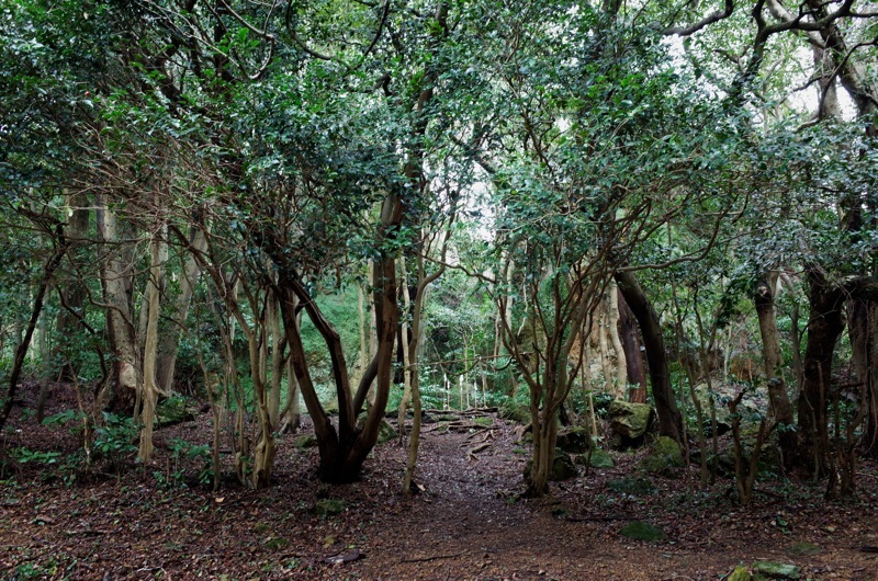 f0169147_17214733.jpg