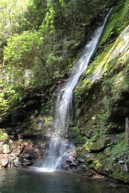 a0335853_10210061.jpg