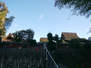 a0057057_1513336.png