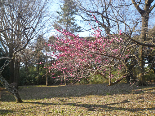 b0045357_853361.jpg