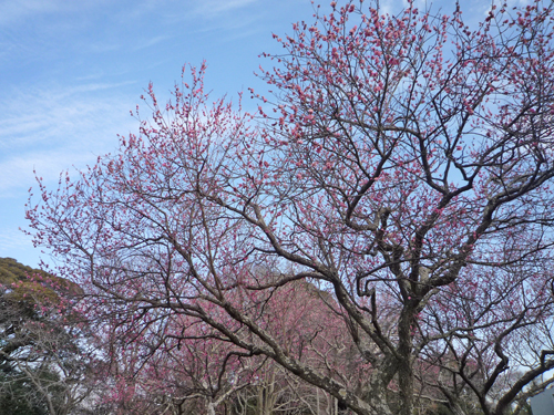 b0045357_8545516.jpg