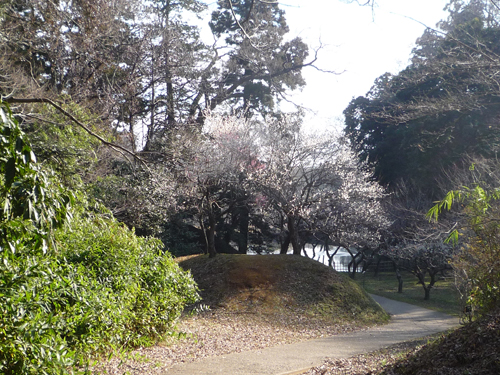 b0045357_8591151.jpg