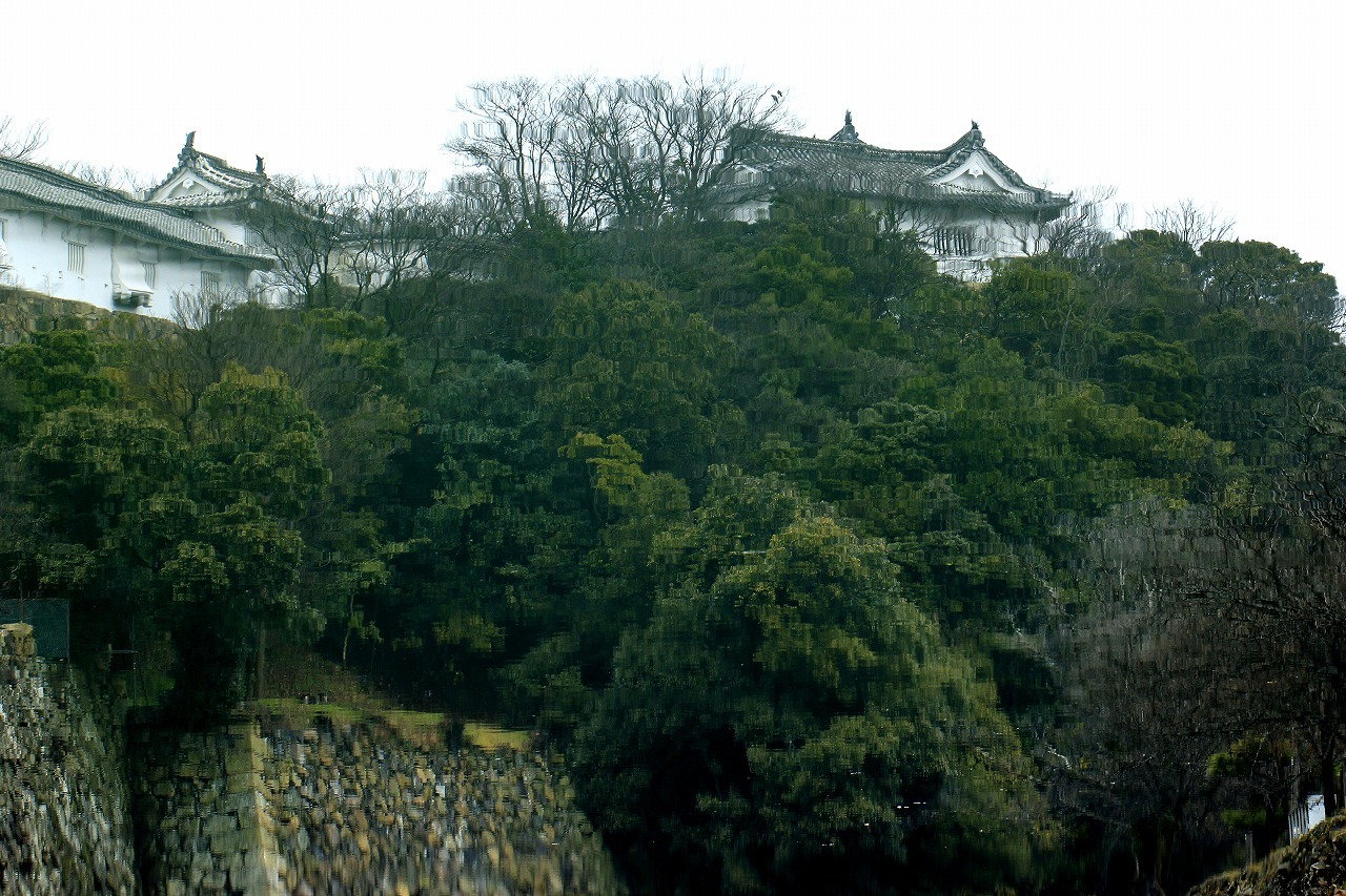 c0362972_21595884.jpg