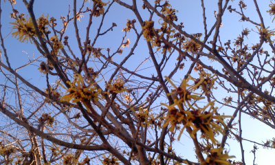 c0069380_12554792.jpg