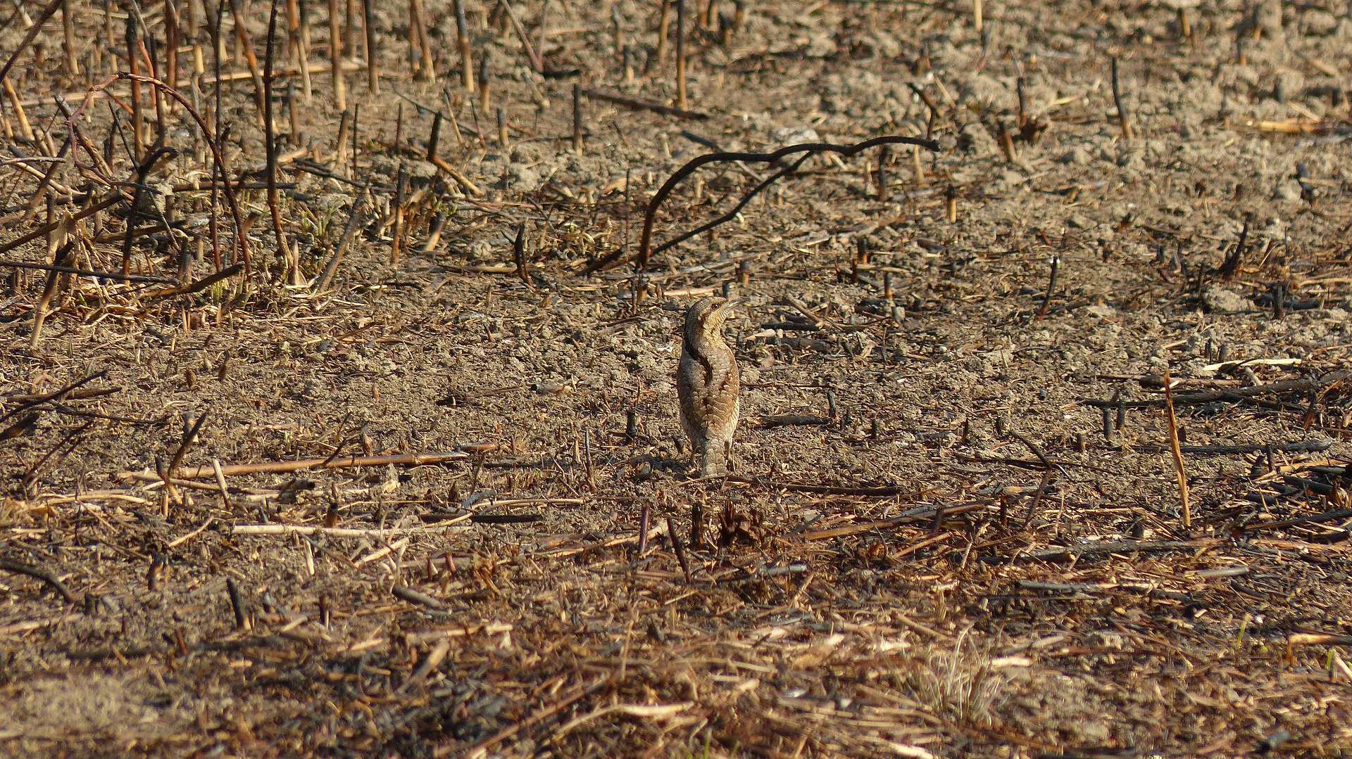 a0185081_19363354.jpg