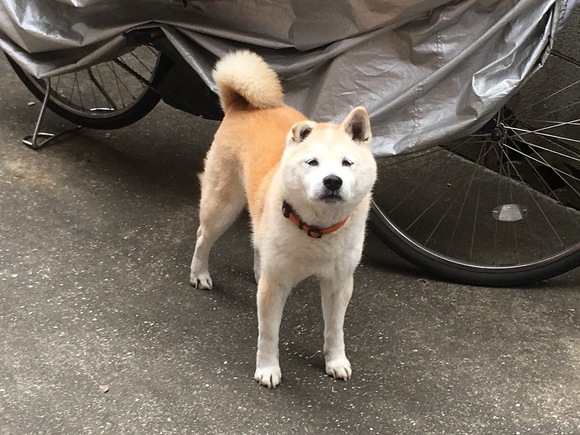 c0123890_20154581.jpg