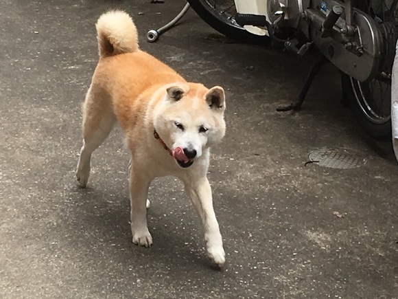 c0123890_20162225.jpg