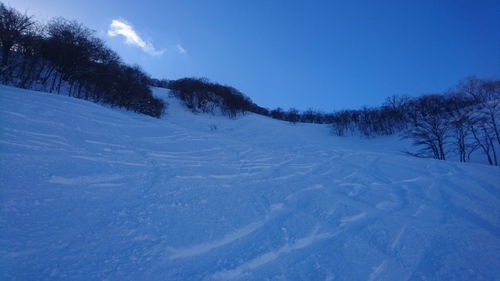 e0015490_2031255.jpg