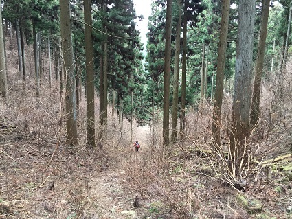 f0202990_22324697.jpg