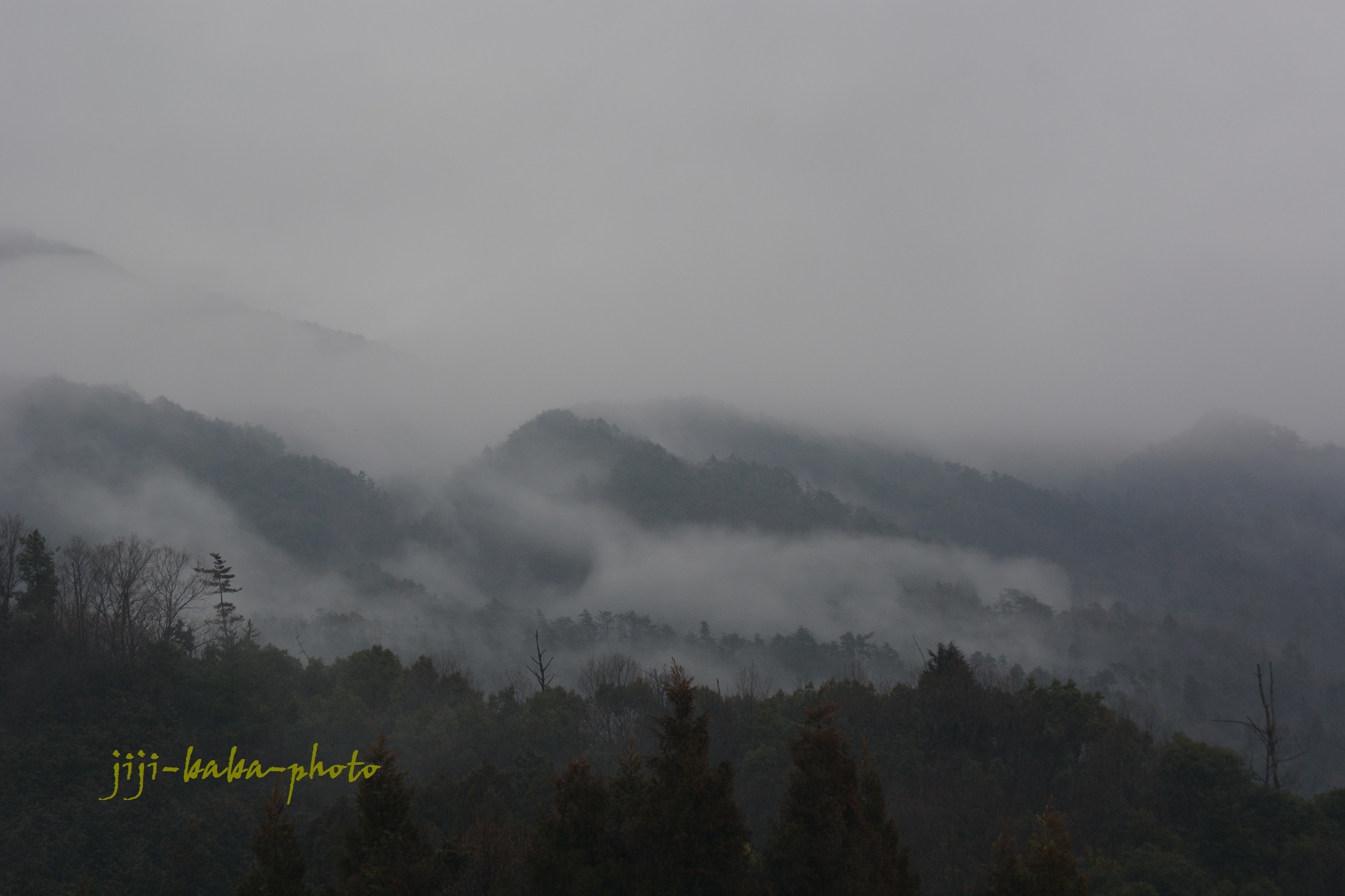 d0239891_06160357.jpg