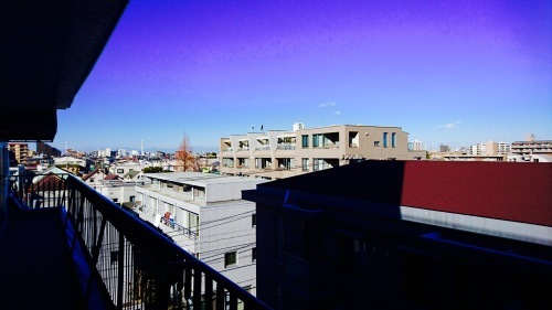 c0202101_09550259.jpg