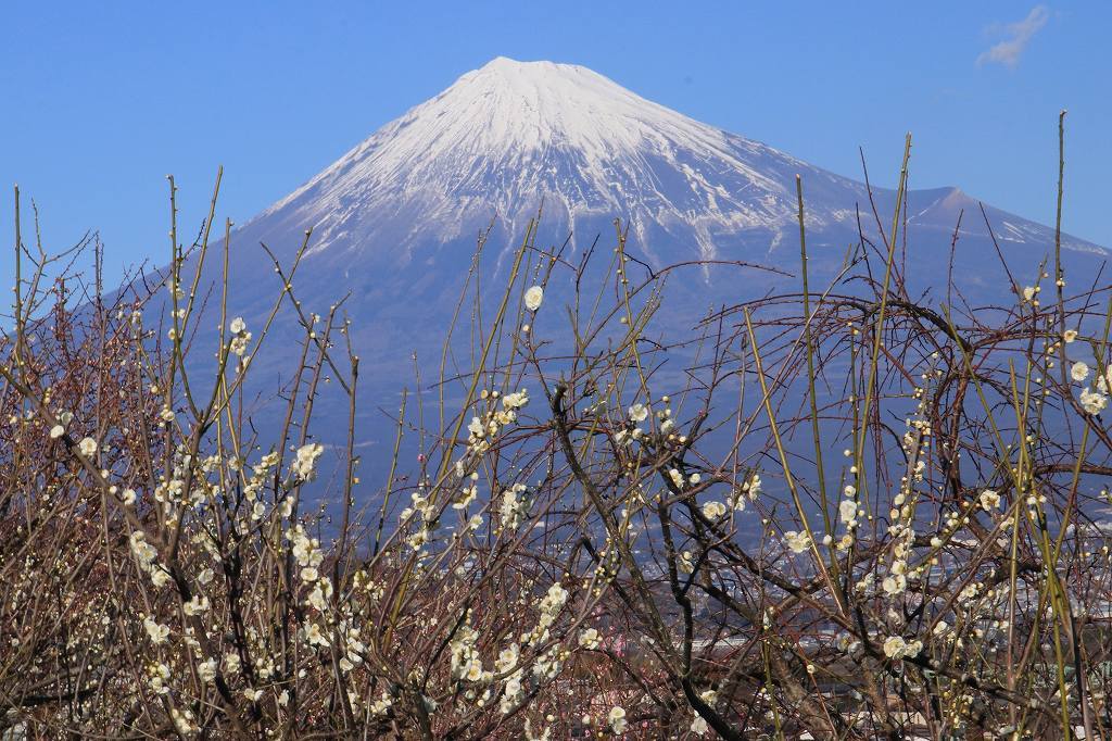 a0188405_20241939.jpg