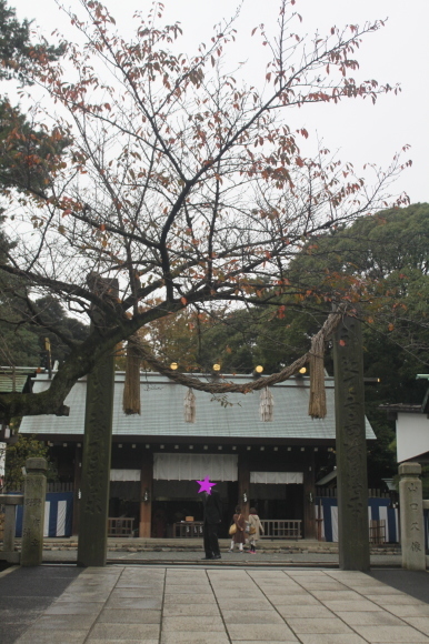 f0233916_22132345.jpg