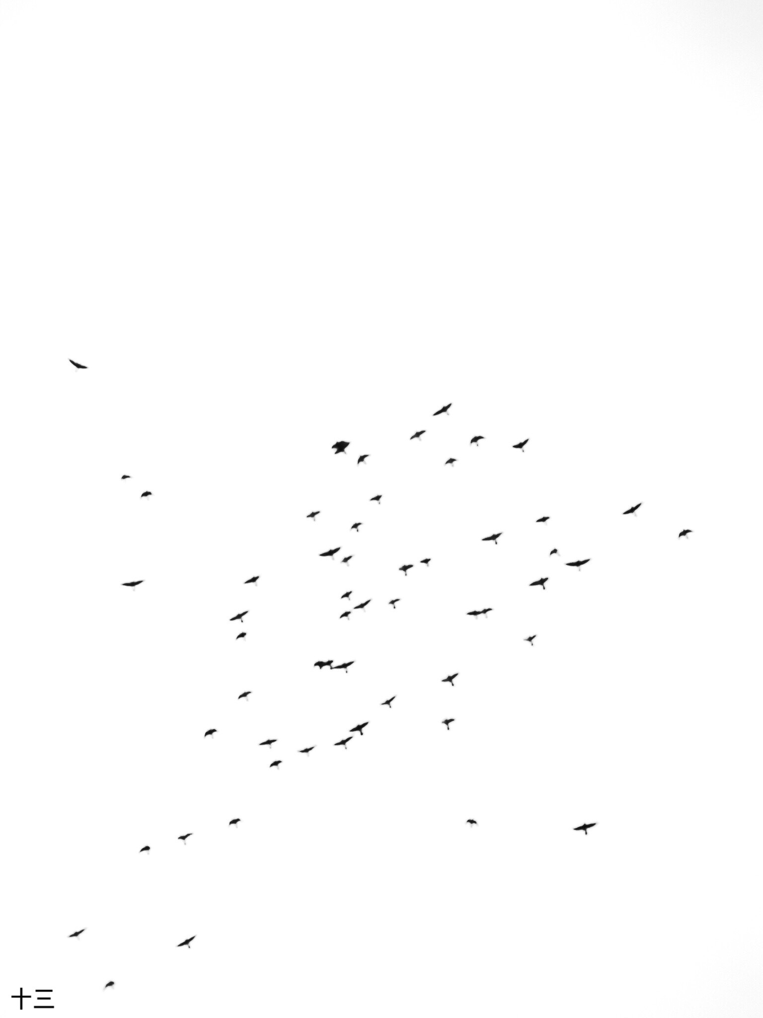 f0370124_22395262.jpeg