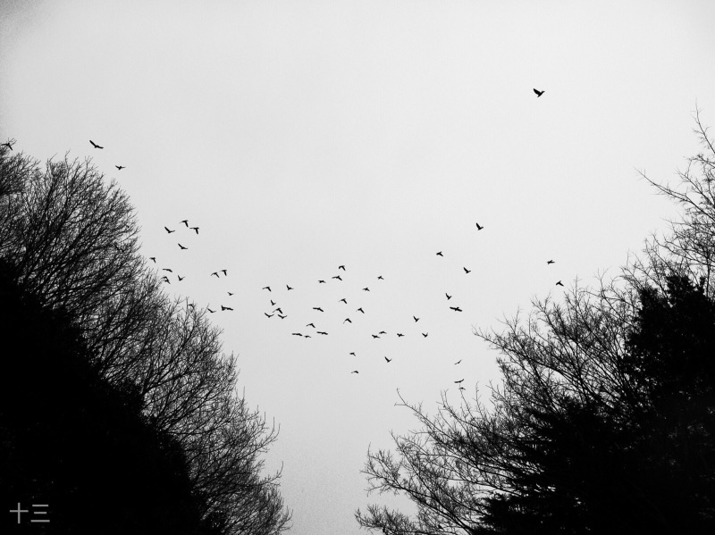 f0370124_22400827.jpeg