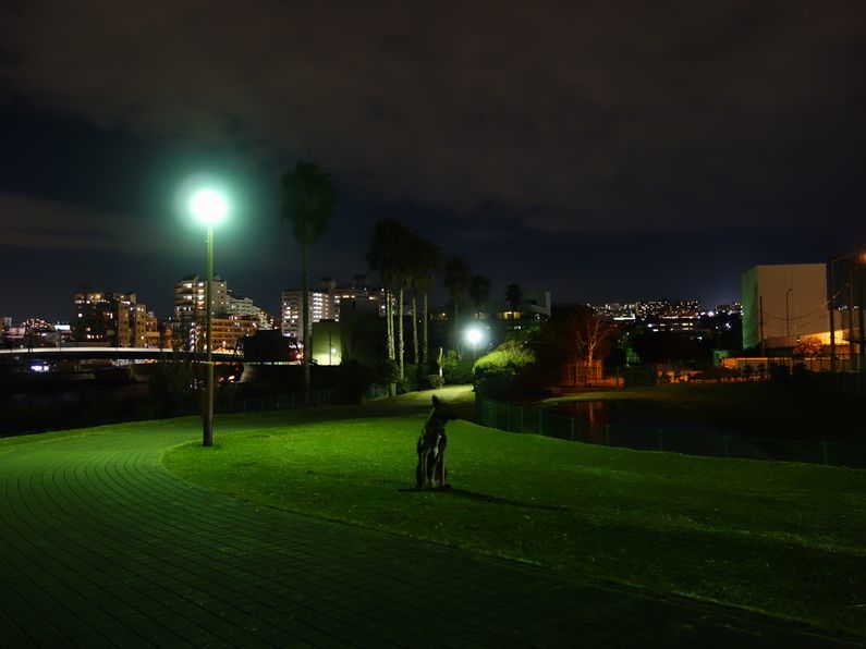 f0088731_00092264.jpg