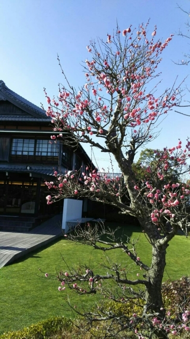 b0173833_07515574.jpg