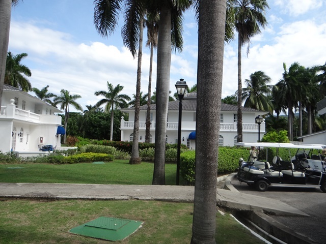 d0037233_10070266.jpg