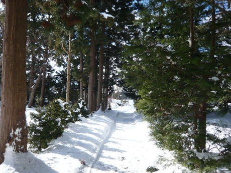 d0217833_8445060.jpg