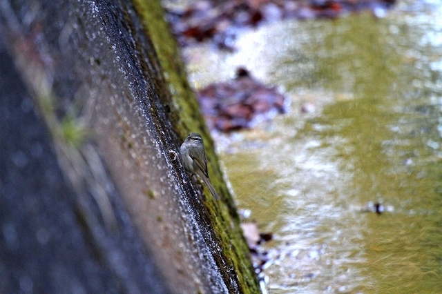a0242438_21012099.jpg