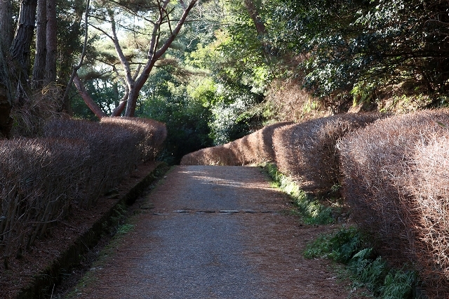a0242438_21034036.jpg