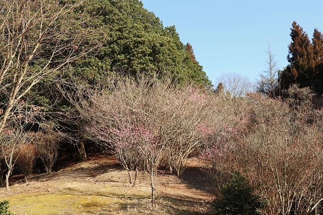 a0242438_21035805.jpg